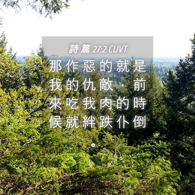 Picture 04 - 詩 篇 27:2 CUVT - 那 作 惡 的 就 是 我 的 仇 敵 ， 前 - Bible Verse Picture
