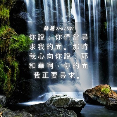 Picture 04 - 詩 篇 27:8 CUVT - 你 說 ： 你 們 當 尋 求 我 的 面 。 - Bible Verse Picture
