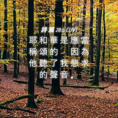 Picture 04 - 詩 篇 28:6 CUVT - 耶 和 華 是 應 當 稱 頌 的 ， 因 為 - Bible Verse Picture