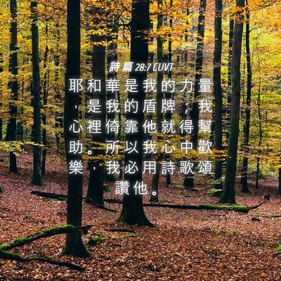 Picture 04 - 詩 篇 28:7 CUVT - 耶 和 華 是 我 的 力 量 ， 是 我 的 - Bible Verse Picture