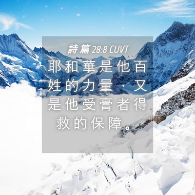 Picture 04 - 詩 篇 28:8 CUVT - 耶 和 華 是 他 百 姓 的 力 量 ， 又 - Bible Verse Picture
