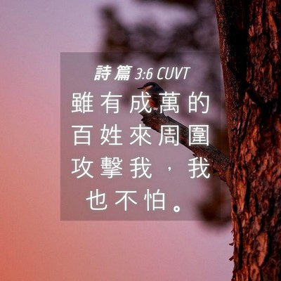 Picture 04 - 詩 篇 3:6 CUVT - 雖 有 成 萬 的 百 姓 來 周 圍 攻 擊 - Bible Verse Picture