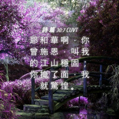 Picture 04 - 詩 篇 30:7 CUVT - 耶 和 華 啊 ， 你 曾 施 恩 ， 叫 我 - Bible Verse Picture