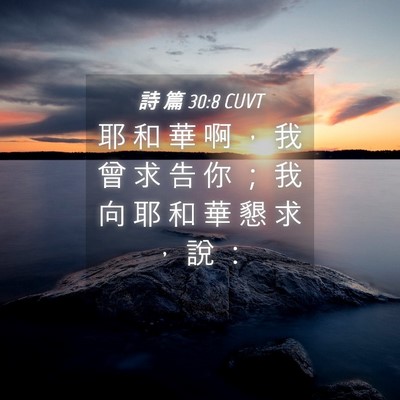 Picture 04 - 詩 篇 30:8 CUVT - 耶 和 華 啊 ， 我 曾 求 告 你 ； 我 - Bible Verse Picture