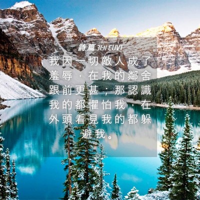 Picture 04 - 詩 篇 31:11 CUVT - 我 因 一 切 敵 人 成 了 羞 辱 ， 在 - Bible Verse Picture