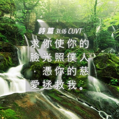 Picture 04 - 詩 篇 31:16 CUVT - 求 你 使 你 的 臉 光 照 僕 人 ， 憑 - Bible Verse Picture