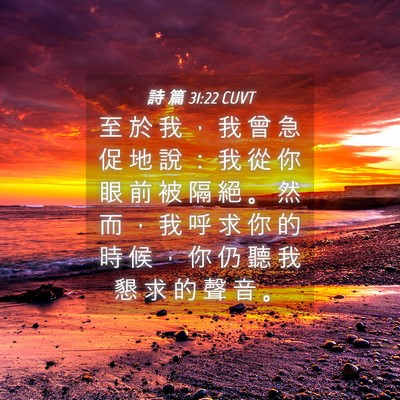 Picture 04 - 詩 篇 31:22 CUVT - 至 於 我 ， 我 曾 急 促 地 說 ： 我 - Bible Verse Picture