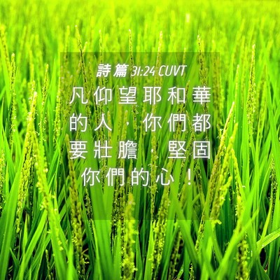 Picture 04 - 詩 篇 31:24 CUVT - 凡 仰 望 耶 和 華 的 人 ， 你 們 都 - Bible Verse Picture