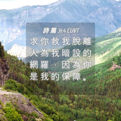 Picture 04 - 詩 篇 31:4 CUVT - 求 你 救 我 脫 離 人 為 我 暗 設 的 - Bible Verse Picture
