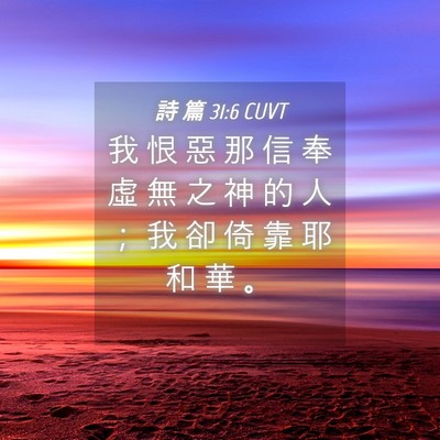 Picture 04 - 詩 篇 31:6 CUVT - 我 恨 惡 那 信 奉 虛 無 之 神 的 人 - Bible Verse Picture