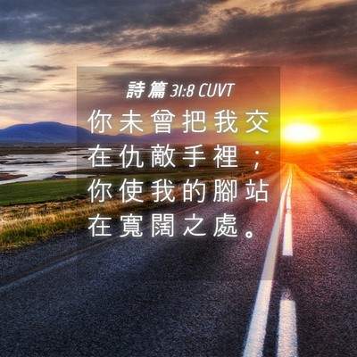 Picture 04 - 詩 篇 31:8 CUVT - 你 未 曾 把 我 交 在 仇 敵 手 裡 ； - Bible Verse Picture
