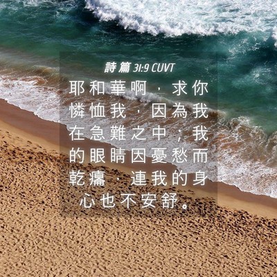 Picture 04 - 詩 篇 31:9 CUVT - 耶 和 華 啊 ， 求 你 憐 恤 我 ， 因 - Bible Verse Picture