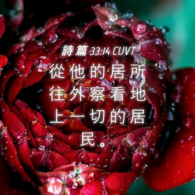 Picture 04 - 詩 篇 33:14 CUVT - 從 他 的 居 所 往 外 察 看 地 上 一 - Bible Verse Picture