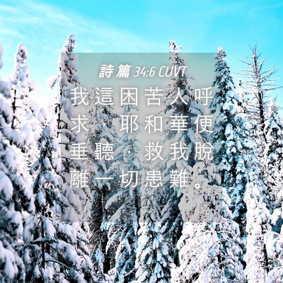 Picture 04 - 詩 篇 34:6 CUVT - 我 這 困 苦 人 呼 求 ， 耶 和 華 便 - Bible Verse Picture