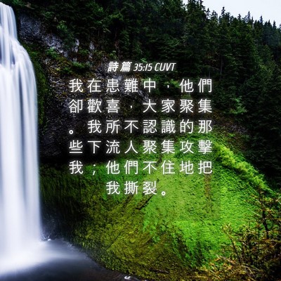 Picture 04 - 詩 篇 35:15 CUVT - 我 在 患 難 中 ， 他 們 卻 歡 喜 ， - Bible Verse Picture