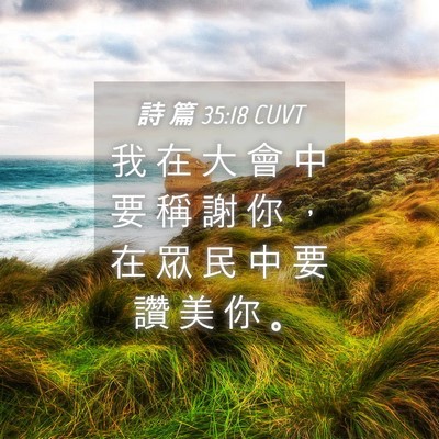 Picture 04 - 詩 篇 35:18 CUVT - 我 在 大 會 中 要 稱 謝 你 ， 在 眾 - Bible Verse Picture