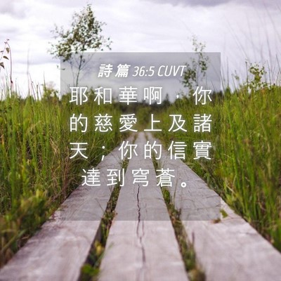 Picture 04 - 詩 篇 36:5 CUVT - 耶 和 華 啊 ， 你 的 慈 愛 上 及 諸 - Bible Verse Picture