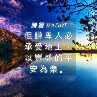 Picture 04 - 詩 篇 37:11 CUVT - 但 謙 卑 人 必 承 受 地 土 ， 以 豐 - Bible Verse Picture