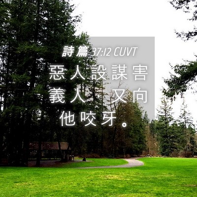 Picture 04 - 詩 篇 37:12 CUVT - 惡 人 設 謀 害 義 人 ， 又 向 他 咬 - Bible Verse Picture