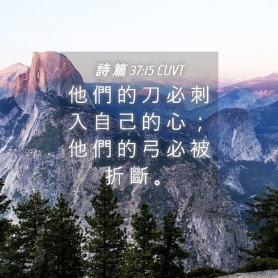 Picture 04 - 詩 篇 37:15 CUVT - 他 們 的 刀 必 刺 入 自 己 的 心 ； - Bible Verse Picture