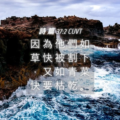 Picture 04 - 詩 篇 37:2 CUVT - 因 為 他 們 如 草 快 被 割 下 ， 又 - Bible Verse Picture