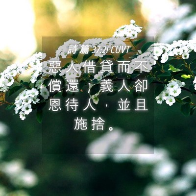 Picture 04 - 詩 篇 37:21 CUVT - 惡 人 借 貸 而 不 償 還 ； 義 人 卻 - Bible Verse Picture
