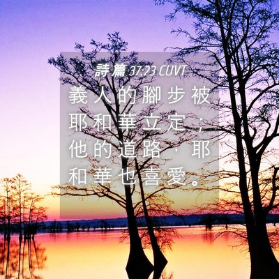 Picture 04 - 詩 篇 37:23 CUVT - 義 人 的 腳 步 被 耶 和 華 立 定 ； - Bible Verse Picture