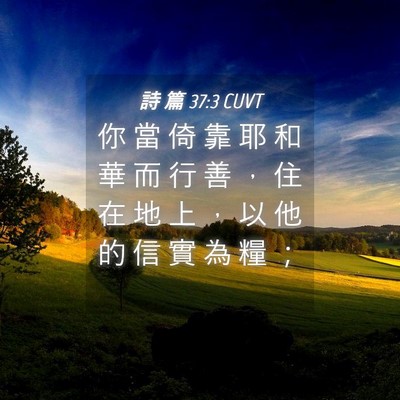 Picture 04 - 詩 篇 37:3 CUVT - 你 當 倚 靠 耶 和 華 而 行 善 ， 住 - Bible Verse Picture