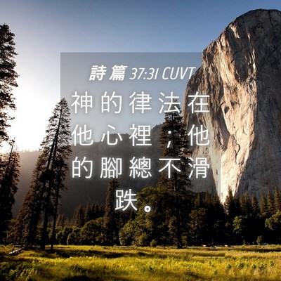 Picture 04 - 詩 篇 37:31 CUVT - 神 的 律 法 在 他 心 裡 ； 他 的 腳 - Bible Verse Picture