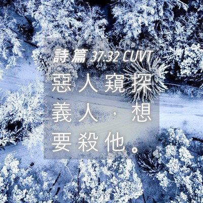 Picture 04 - 詩 篇 37:32 CUVT - 惡 人 窺 探 義 人 ， 想 要 殺 他 - Bible Verse Picture