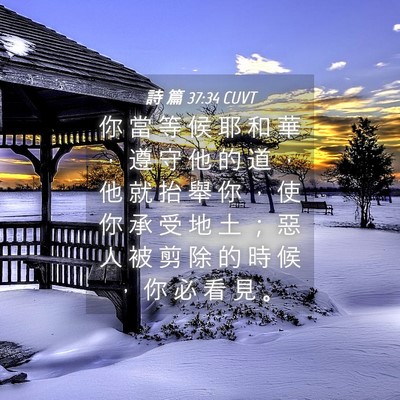 Picture 04 - 詩 篇 37:34 CUVT - 你 當 等 候 耶 和 華 ， 遵 守 他 的 - Bible Verse Picture