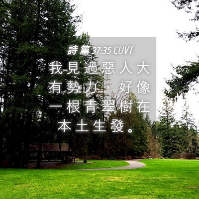 Picture 04 - 詩 篇 37:35 CUVT - 我 見 過 惡 人 大 有 勢 力 ， 好 像 - Bible Verse Picture