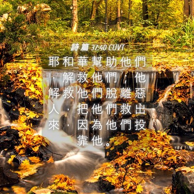 Picture 04 - 詩 篇 37:40 CUVT - 耶 和 華 幫 助 他 們 ， 解 救 他 們 - Bible Verse Picture