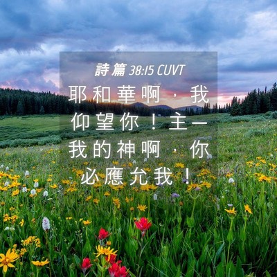 Picture 04 - 詩 篇 38:15 CUVT - 耶 和 華 啊 ， 我 仰 望 你 ！ 主 ─ - Bible Verse Picture