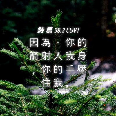 Picture 04 - 詩 篇 38:2 CUVT - 因 為 ， 你 的 箭 射 入 我 身 ； 你 - Bible Verse Picture