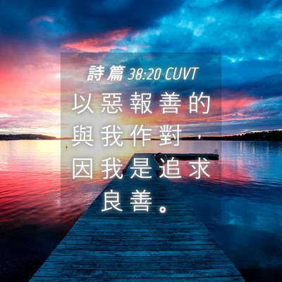 Picture 04 - 詩 篇 38:20 CUVT - 以 惡 報 善 的 與 我 作 對 ， 因 我 - Bible Verse Picture