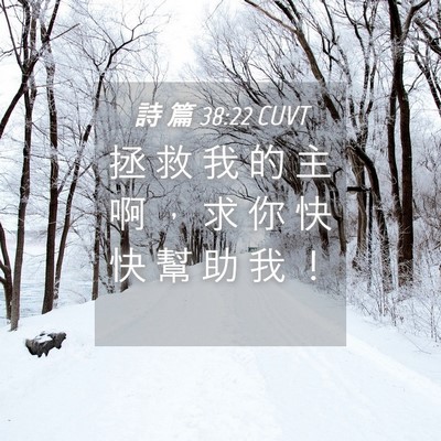 Picture 04 - 詩 篇 38:22 CUVT - 拯 救 我 的 主 啊 ， 求 你 快 快 幫 - Bible Verse Picture