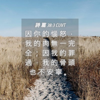 Picture 04 - 詩 篇 38:3 CUVT - 因 你 的 惱 怒 ， 我 的 肉 無 一 完 - Bible Verse Picture