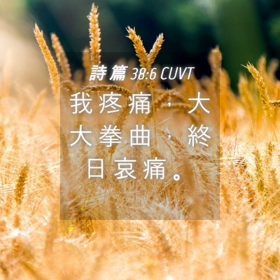 Picture 04 - 詩 篇 38:6 CUVT - 我 疼 痛 ， 大 大 拳 曲 ， 終 日 哀 - Bible Verse Picture