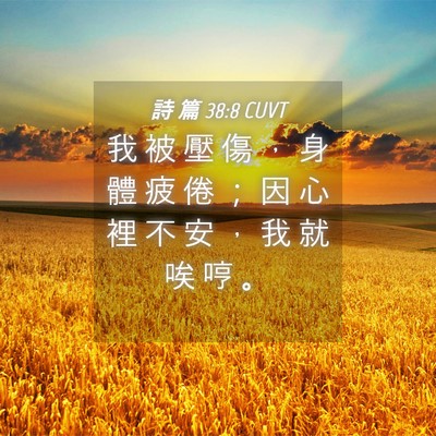 Picture 04 - 詩 篇 38:8 CUVT - 我 被 壓 傷 ， 身 體 疲 倦 ； 因 心 - Bible Verse Picture