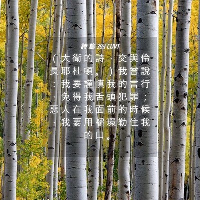 Picture 04 - 詩 篇 39:1 CUVT - （ 大 衛 的 詩 ， 交 與 伶 長 耶 杜 - Bible Verse Picture