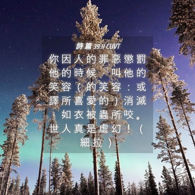 Picture 04 - 詩 篇 39:11 CUVT - 你 因 人 的 罪 惡 懲 罰 他 的 時 候 - Bible Verse Picture