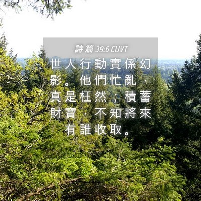 Picture 04 - 詩 篇 39:6 CUVT - 世 人 行 動 實 係 幻 影 。 他 們 忙 - Bible Verse Picture