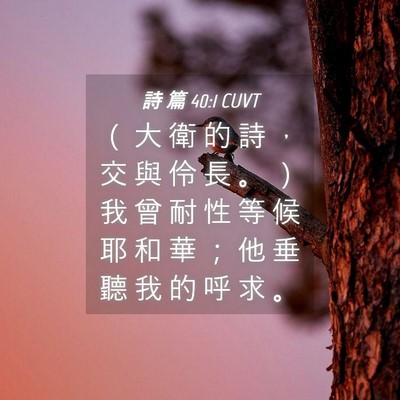 Picture 04 - 詩 篇 40:1 CUVT - （ 大 衛 的 詩 ， 交 與 伶 長 。 ） - Bible Verse Picture
