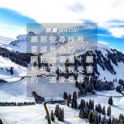 Picture 04 - 詩 篇 40:14 CUVT - 願 那 些 尋 找 我 、 要 滅 我 命 的 - Bible Verse Picture