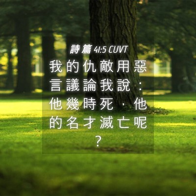 Picture 04 - 詩 篇 41:5 CUVT - 我 的 仇 敵 用 惡 言 議 論 我 說 ： - Bible Verse Picture