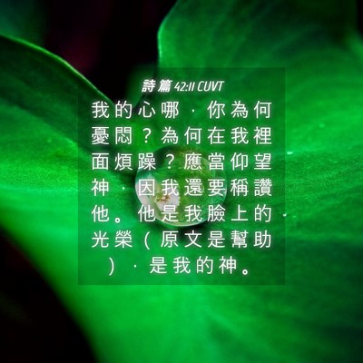 Picture 04 - 詩 篇 42:11 CUVT - 我 的 心 哪 ， 你 為 何 憂 悶 ？ 為 - Bible Verse Picture