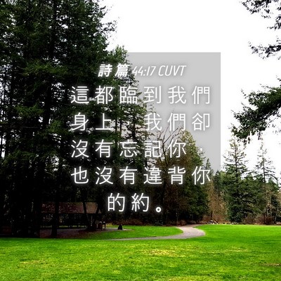 Picture 04 - 詩 篇 44:17 CUVT - 這 都 臨 到 我 們 身 上 ， 我 們 卻 - Bible Verse Picture