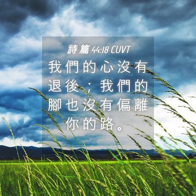 Picture 04 - 詩 篇 44:18 CUVT - 我 們 的 心 沒 有 退 後 ； 我 們 的 - Bible Verse Picture
