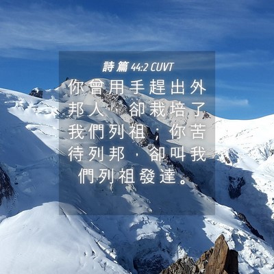 Picture 04 - 詩 篇 44:2 CUVT - 你 曾 用 手 趕 出 外 邦 人 ， 卻 栽 - Bible Verse Picture